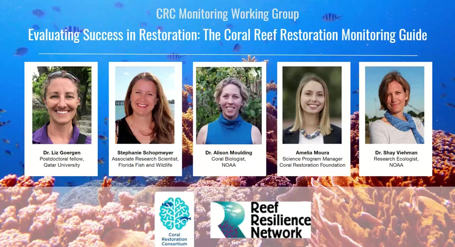 November 20, 2020 | Evaluating Success in Restoration